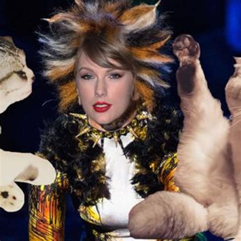 5 Skills Taylor Swift Can Learn From Her Cats for "Cats" Movie