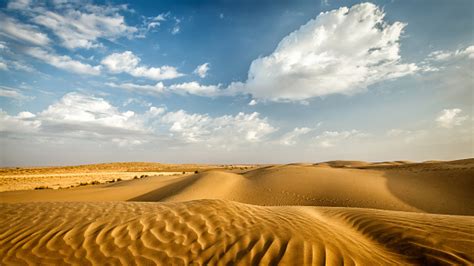 Dunes Of Thar Desert Rajasthan India Stock Photo - Download Image Now ...