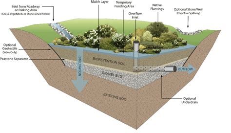 Why Maintenance of a Bioretention is Critical - Part 1