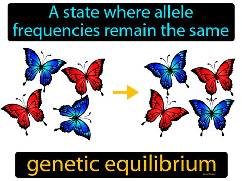 Genetic Equilibrium Definition & Image | GameSmartz