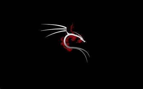 1920x1200 Kali Linux 4k 1080P Resolution ,HD 4k Wallpapers,Images ...