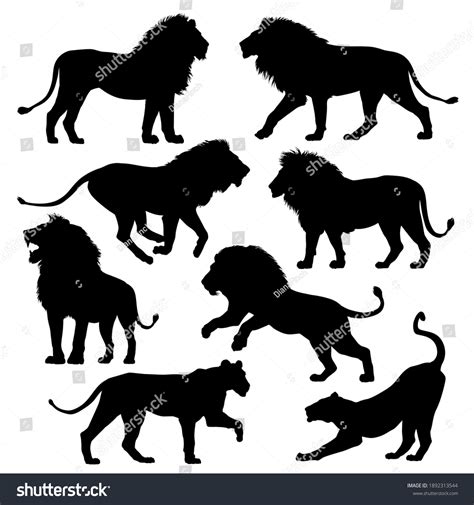 African Lion Silhouettes Set Vector Illustration Stock Vector (Royalty ...