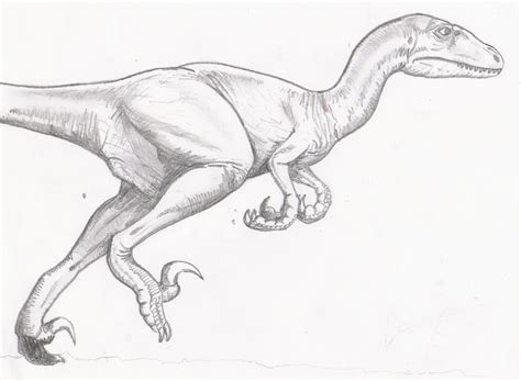 Raptor Dinosaur Drawing at GetDrawings | Free download