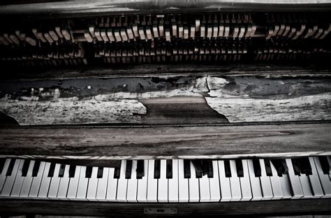 Broken piano - 16 haunting pictures of broken, abandoned pianos ...