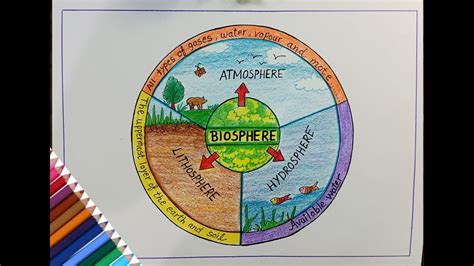 Biosphere diagram drawing /How to draw Biosphere diagram step by step ...