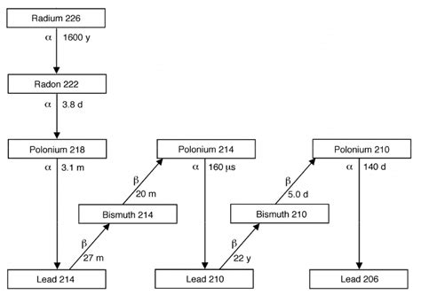 The Basic Radon ( 222 Rn) Decay Chain. The isotopes and their atomic ...