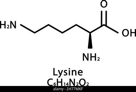 Amino acid Lysine. Chemical molecular formula Lysine is an amino acid ...