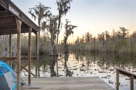 Okefenokee Swamp Camping