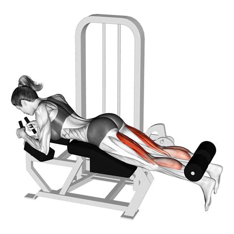 4 Effective Lying Leg Curl Alternatives For Hamstring Gains - Inspire US