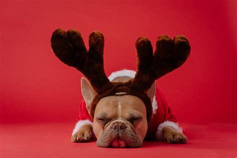 How to Deal with Stress and Anxiety During the Holidays | MyWellbeing