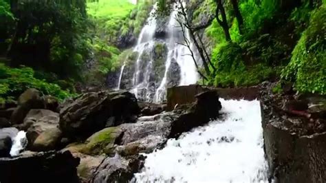 Discover Amboli Ghat’s Magnificent Waterfalls And Lots More | Curly Tales