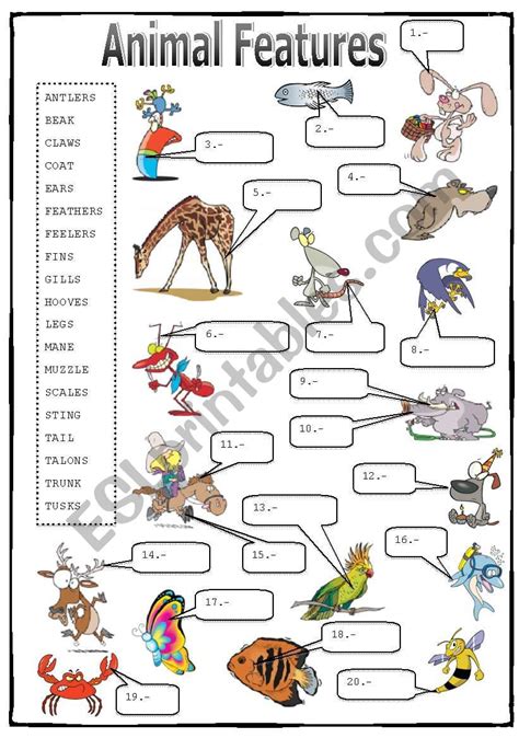 Animal Features (2/2): Matching Activity - ESL worksheet by nessita77