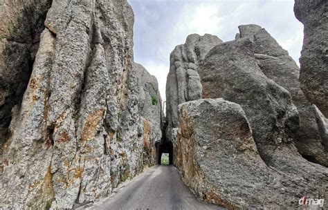 Needles Highway: scenic drive in South Dakota's Black Hills is a must ...