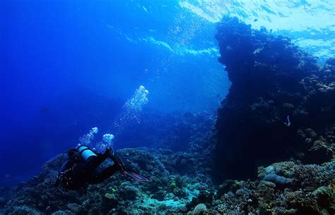 7 Best Places for Snorkeling In Bermuda | Enjoy Travel