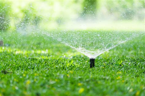 Sprinkler Systems – Hillsborough Irrigation