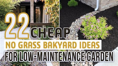 22 Cheap No Grass Backyard Ideas For Low-Maintenance Garden - YouTube