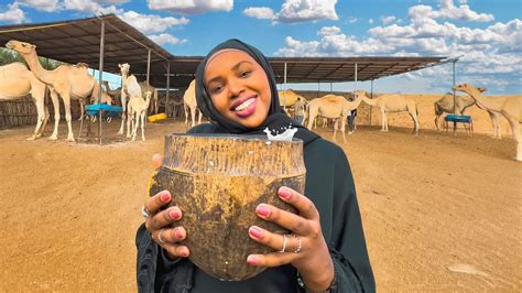 Trying Camel Milk for the First Time in Somalia - YouTube