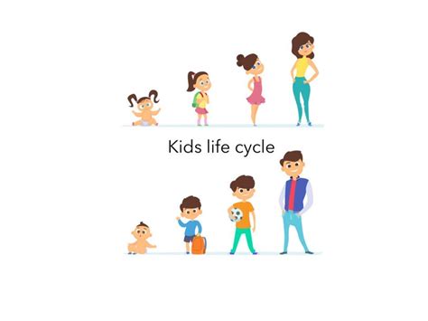 Human Life Cycle Clipart