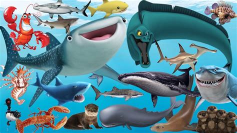 Finding Nemo - A Film About A Friendly Hammerhead Shark Named Bruce