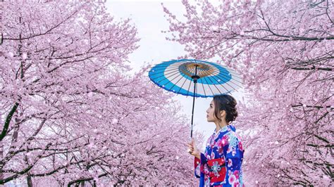 Cherry blossom season in Tokyo: a must-see event for springtime ...