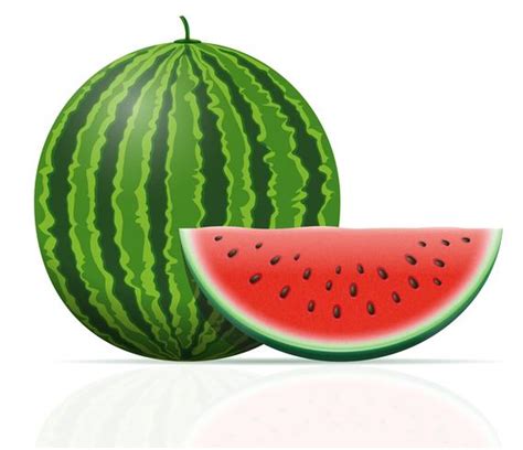 watermelon ripe juicy vector illustration 493045 Vector Art at Vecteezy