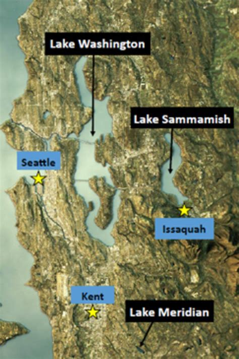 Fish consumption advisory issued for several King County lakes | Kent ...