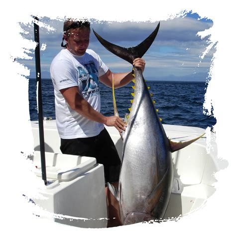 Big Game Fish & Tuna Charter – Big Blue Sport Fishing Charters Cape Town