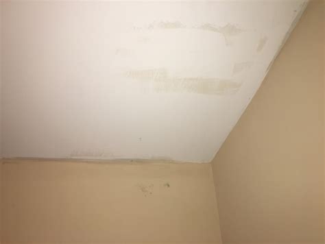 Guide to Mold on Walls ......Removal Protocol, Products to Use ...