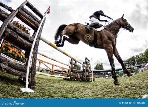 Horse jumping competition editorial photo. Image of show - 44356481