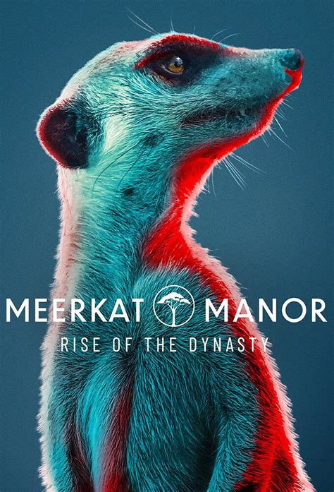 Meerkat Manor: Rise of the Dynasty (2021) S01E13 - a turning tide ...