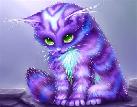 Cute Baby Cat : Cute Baby Cat With Blue Eyes New Paint By Number Paint ...