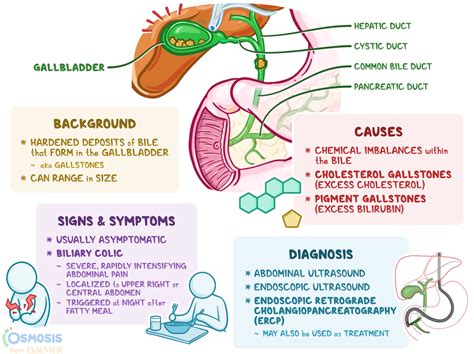 Gall Stone Symptoms Bloating