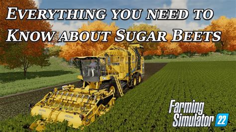 Everything you need to know about Sugar Beets in Farming Simulator 22 ...