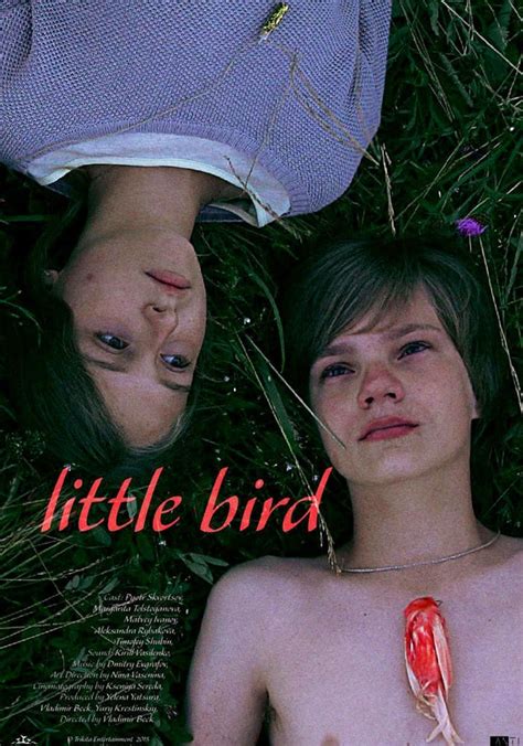 Little Bird streaming: where to watch movie online?