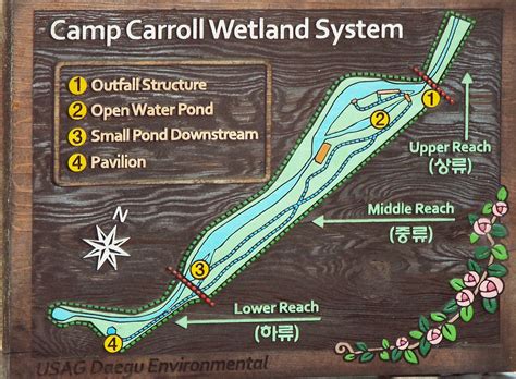 Wonder of the Camp Carroll Wetlands | Article | The United States Army