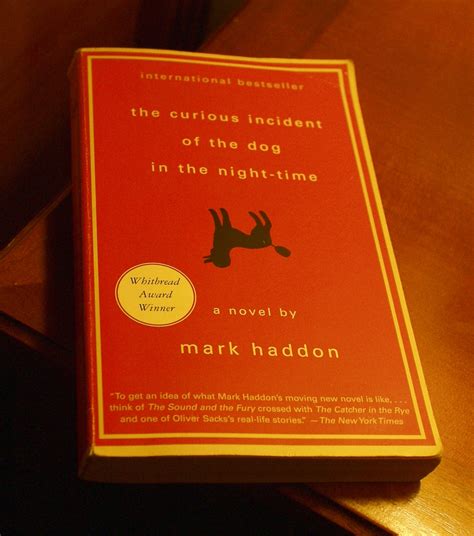 "The Curious Incident of the Dog in the Night Time" by Mark Haddon ...