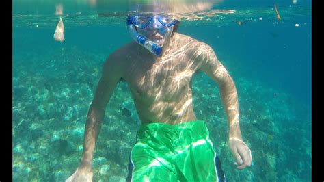 Kealakekua Bay Snorkeling - Dec '18 - YouTube