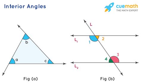 Interior Angles - Definition, Meaning, Theorem, Examples