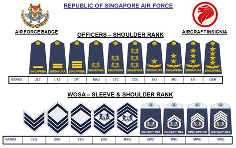 Singapore Armed Forces ranks ~ Everything You Need to Know with Photos ...