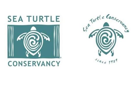 STC Logo Stickers – Sea Turtle Conservancy | Logo sticker, ? logo, Stickers