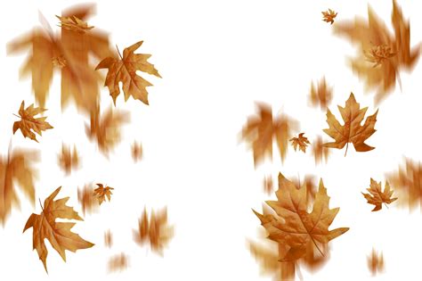 🥇 Image of autumn leaves autumn yellow leaf overlay png nature - 【FREE ...