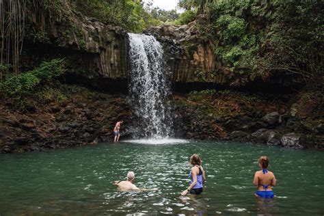 Waterfall & Rainforest Hiking Adventure