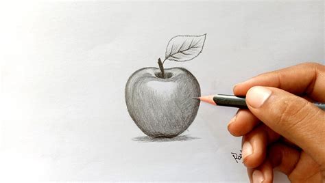 Apple drawing with pencil. Realistic apple drawing and shading. in 2020 ...