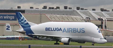 Air safety incidents for Airbus Beluga - AeroInside