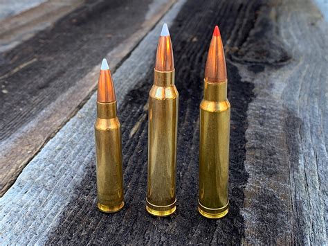 Elk Cartridge Showdown: .308 Win vs. .300 Win. Mag. vs. 338. Win. Mag.