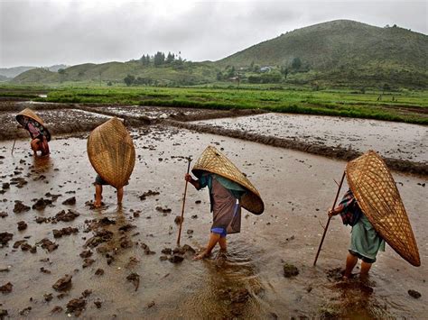 Top 10 Monsoon Destinations of India | Insight India : A Travel Guide ...