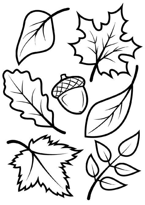 Fall Leaves Coloring Pages For Preschool Coloring Pages