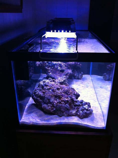 21 best DIY Aquarium Lighting images on Pinterest | Aquarium lighting ...