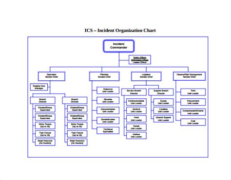 Fillable Organizational Chart Template Word | TUTORE.ORG - Master of ...