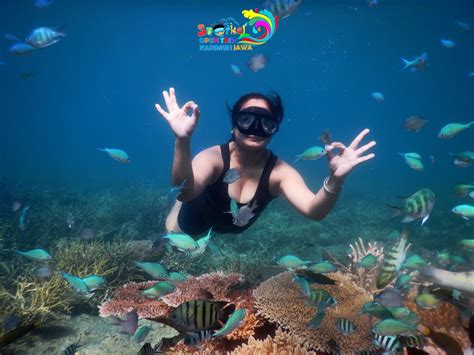 Snorkeling Taman Nasional Karimunjawa